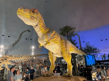 福井県立恐竜博物館に投稿された画像（2023/9/18）