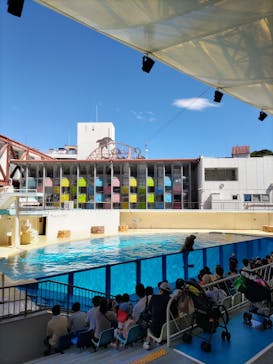 伊豆・三津シーパラダイスに投稿された画像（2023/9/18）