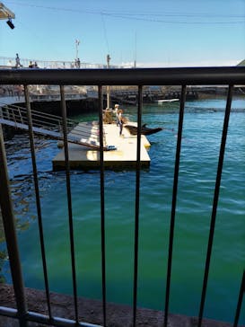 伊豆・三津シーパラダイスに投稿された画像（2023/9/18）