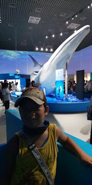 特別展「海　―生命のみなもと―」（国立科学博物館）に投稿された画像（2023/9/18）