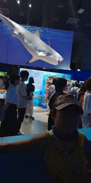 特別展「海　―生命のみなもと―」（国立科学博物館）に投稿された画像（2023/9/18）