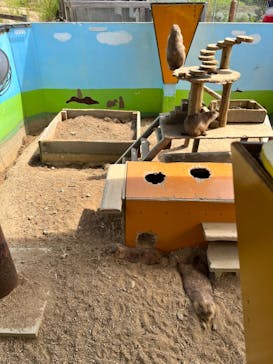 淡路ファームパーク イングランドの丘に投稿された画像（2023/9/18）