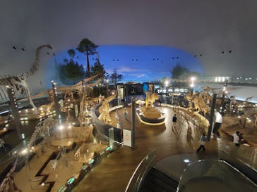 福井県立恐竜博物館に投稿された画像（2023/9/18）