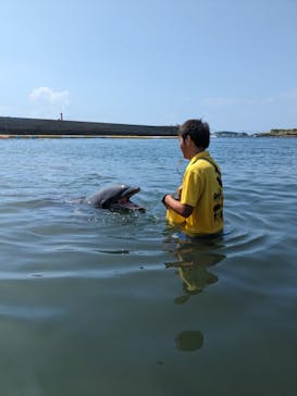 日間賀島ドルフィンビーチに投稿された画像（2023/9/18）