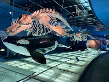 名古屋港水族館に投稿された画像（2023/9/18）