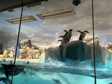 名古屋港水族館に投稿された画像（2023/9/18）