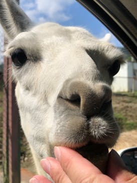 東北サファリパークに投稿された画像（2023/9/18）