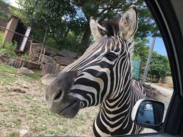 東北サファリパークに投稿された画像（2023/9/18）