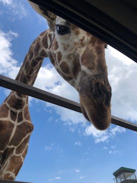 東北サファリパークに投稿された画像（2023/9/18）