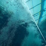 環境水族館アクアマリンふくしまに投稿された画像（2023/9/18）