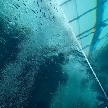 環境水族館アクアマリンふくしまに投稿された画像（2023/9/18）