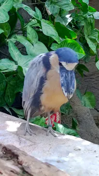 神戸どうぶつ王国に投稿された画像（2023/9/18）