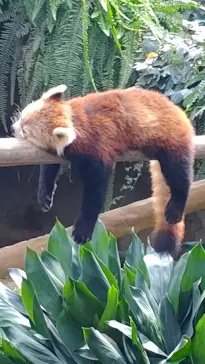 神戸どうぶつ王国に投稿された画像（2023/9/18）