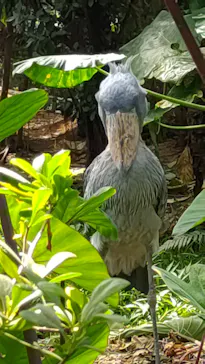 神戸どうぶつ王国に投稿された画像（2023/9/18）