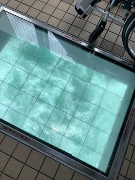 徳島県立 渦の道に投稿された画像（2023/9/18）