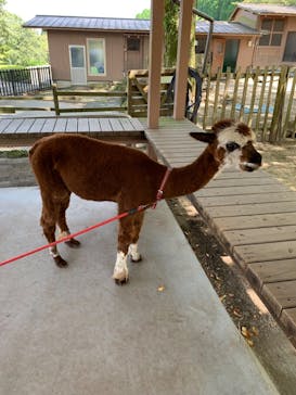 阿蘇カドリー・ドミニオンに投稿された画像（2023/9/18）