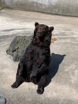 阿蘇カドリー・ドミニオンに投稿された画像（2023/9/18）