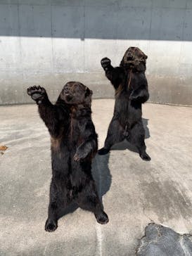 阿蘇カドリー・ドミニオンに投稿された画像（2023/9/18）