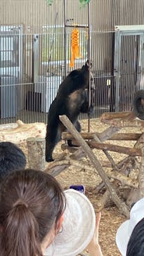 のぼりべつクマ牧場に投稿された画像（2023/9/18）