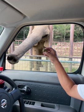 東北サファリパークに投稿された画像（2023/9/18）