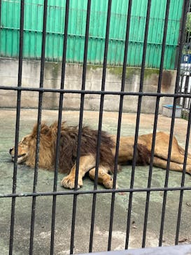 東北サファリパークに投稿された画像（2023/9/18）