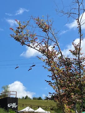 NESTA RESORT KOBE（ネスタリゾート神戸）に投稿された画像（2023/9/18）