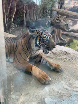 神戸どうぶつ王国に投稿された画像（2023/9/18）