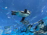 サンシャイン水族館に投稿された画像（2023/9/18）