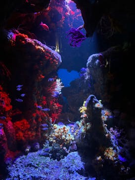 サンシャイン水族館に投稿された画像（2023/9/18）