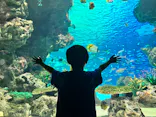 サンシャイン水族館に投稿された画像（2023/9/18）