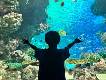 サンシャイン水族館に投稿された画像（2023/9/18）