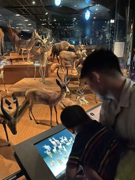 国立科学博物館に投稿された画像（2023/9/18）