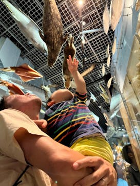 国立科学博物館に投稿された画像（2023/9/18）