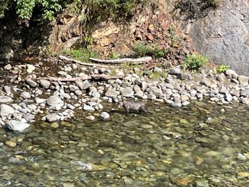 清津峡渓谷トンネルに投稿された画像（2023/9/18）