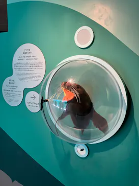 天王寺動物園に投稿された画像（2023/9/18）