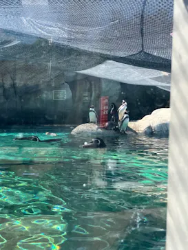 天王寺動物園に投稿された画像（2023/9/18）