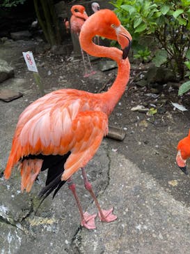 伊豆シャボテン動物公園に投稿された画像（2023/9/18）
