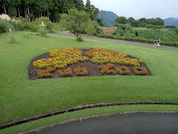 とっとり花回廊に投稿された画像（2023/9/18）