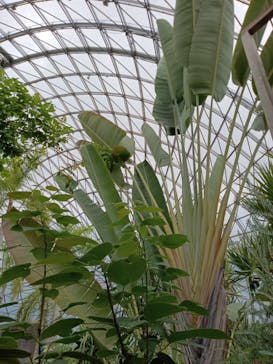 とっとり花回廊に投稿された画像（2023/9/18）