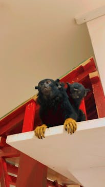 アニタッチみなとみらいに投稿された画像（2023/9/18）