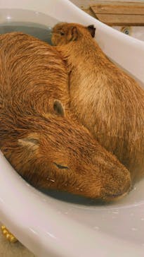 アニタッチみなとみらいに投稿された画像（2023/9/18）