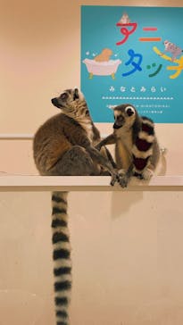 アニタッチみなとみらいに投稿された画像（2023/9/18）