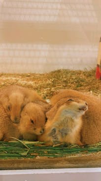 アニタッチみなとみらいに投稿された画像（2023/9/18）