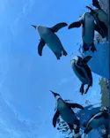 サンシャイン水族館に投稿された画像（2023/9/18）