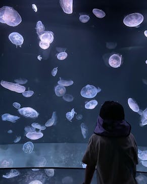 サンシャイン水族館に投稿された画像（2023/9/18）