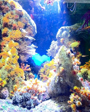 サンシャイン水族館に投稿された画像（2023/9/18）