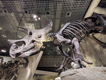 国立科学博物館に投稿された画像（2023/9/18）