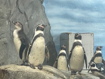 新江ノ島水族館に投稿された画像（2023/9/18）