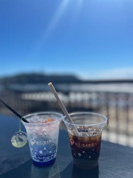 新江ノ島水族館に投稿された画像（2023/9/18）