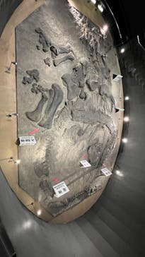 福井県立恐竜博物館に投稿された画像（2023/9/18）